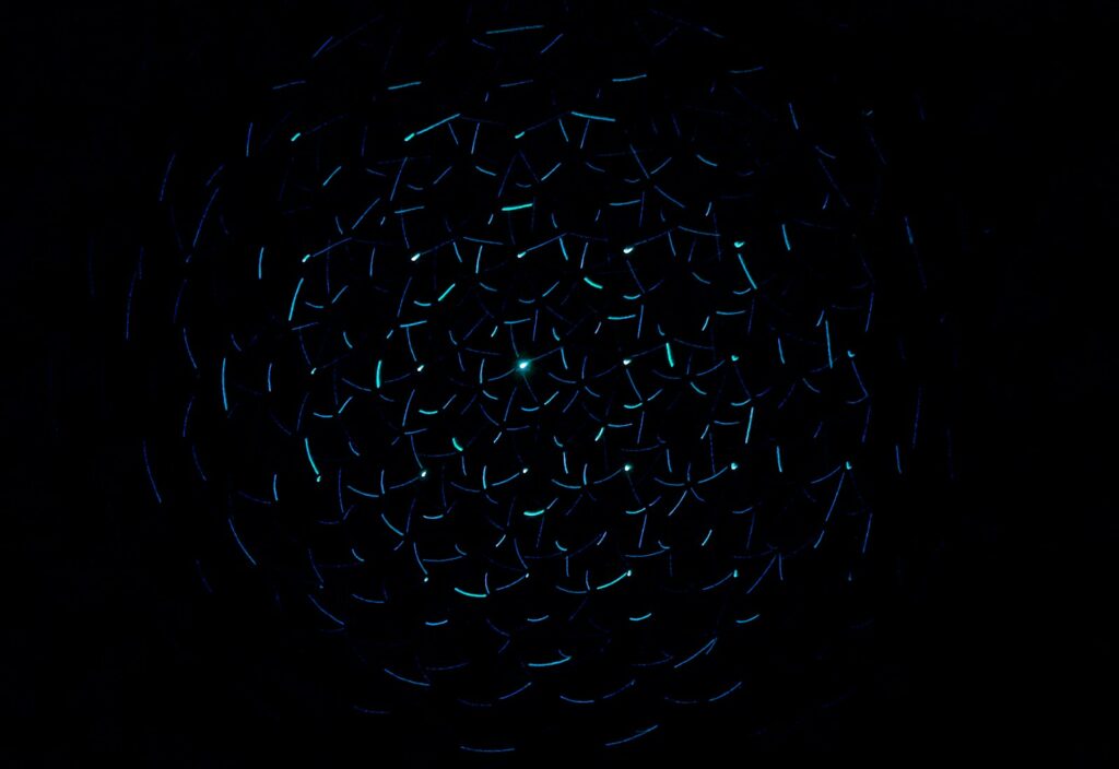 light decorations in dark area